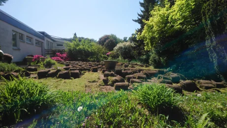 Rollrasen - Rasenpflege - Vertikutieren - Düngen